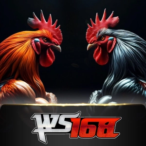 ws168 - wingbet138
