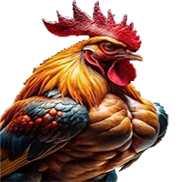 wingbet138